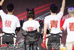 极速青春在线观看,青春热血，速度与激情的青春篇章  第2张